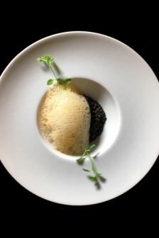 CURSO DE COCINA MOLECULAR (AGOTADO)